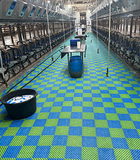 Плитка полимерная противоскользящая